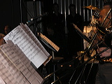 p4253328